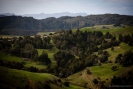 View from the top of the Waipu Caves Track