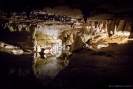 Waipu cave near the entrance