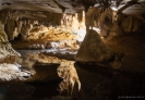 Waipu cave near the entrance