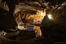 Waipu cave near the entrance