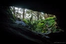 Waipu cave entrance