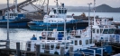 Tug boats at Marsden Point wharf
