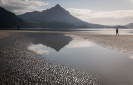 Mt Manaia across Whangarei Harbour