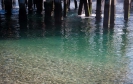 Under The Wharf at Marsden Point