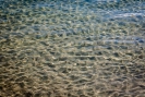 Sand and sea patterns at Marsden Point