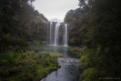 Whangarei Falls