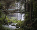 Hatea River and the Whangarei Falls