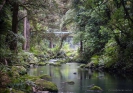 Hatea River below the Whangarei Falls