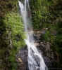 Paranui Falls in A H Reed Memorial Park Whangarei