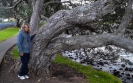 Wyn and Pohutukawa Manukau Harbour
